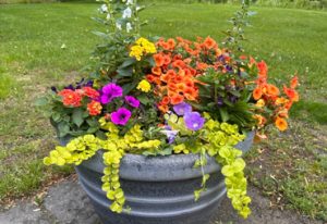 Carla's Greenery Planter Web Page